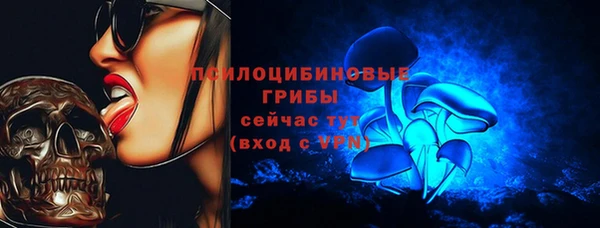 СК Алексин