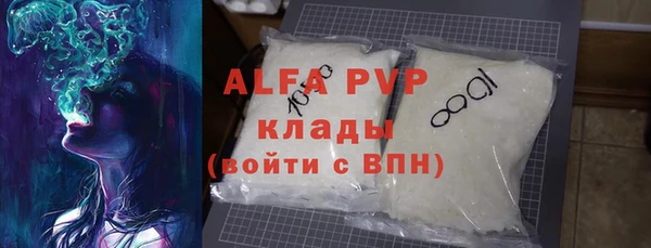 СК Алексин