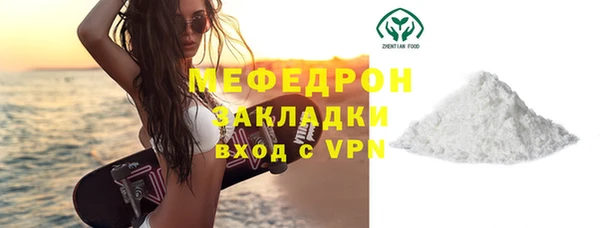 СК Алексин