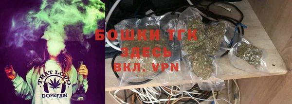 СК Алексин