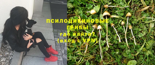 COCAINE Алзамай