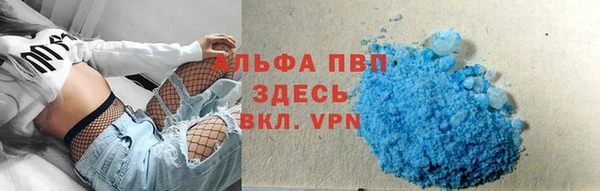 СК Алексин