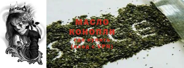 СК Алексин
