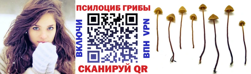 Галлюциногенные грибы MAGIC MUSHROOMS  дарк нет телеграм  Самара 