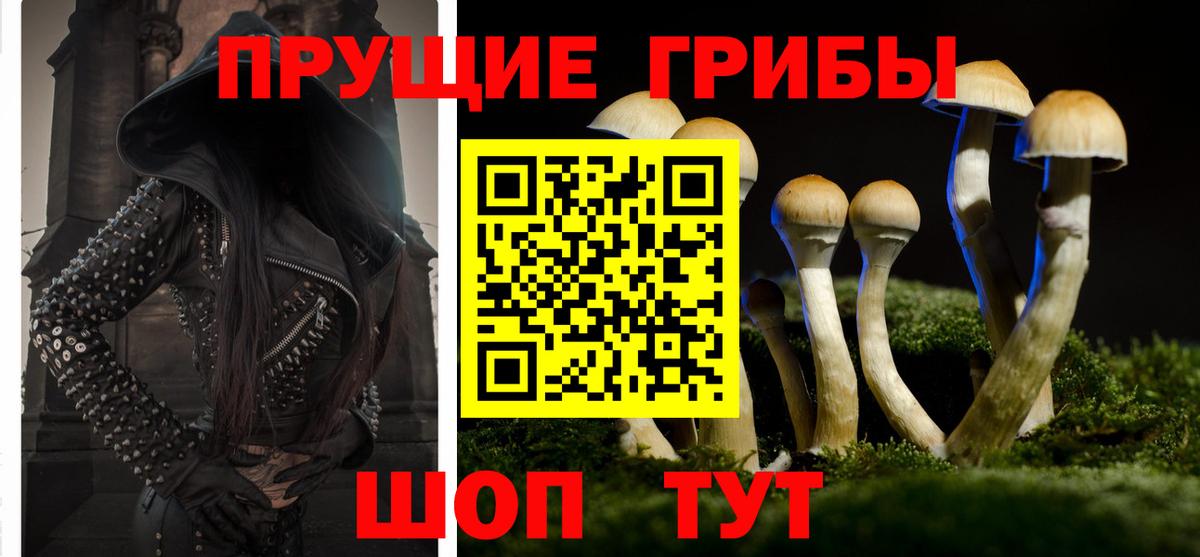 Псилоцибиновые грибы мухоморы  Вход с VPN  где можно купить   Самара  Галлюциногенные грибы Cubensis 